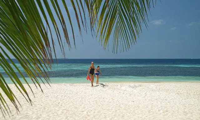 Beach under palm trees. Eriyadu, Maldives